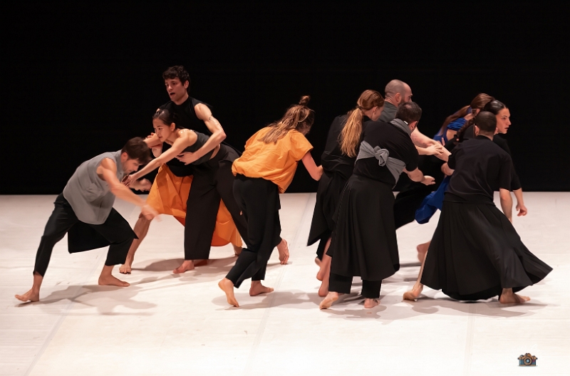 Tendre colére E2-63 